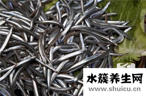 泥鰍需要去內(nèi)臟嗎